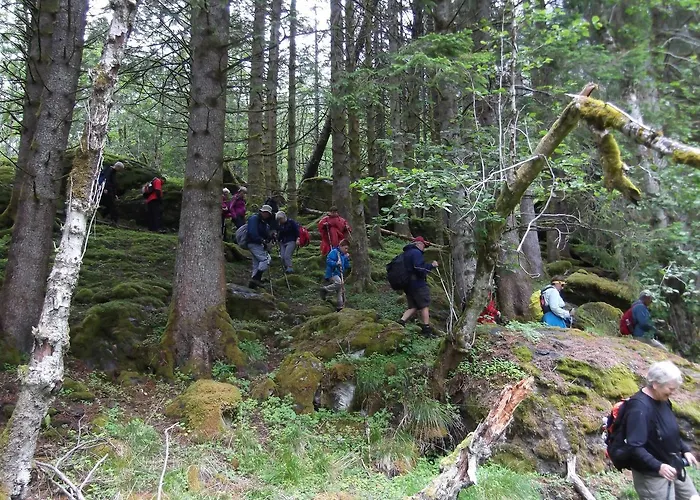 호스텔 Hardanger Basecamp