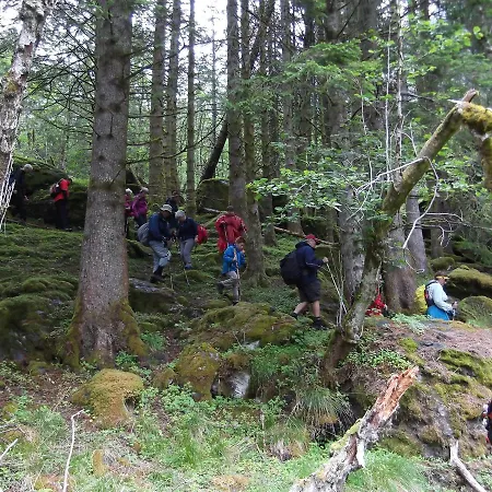 אכסניה Hardanger Basecamp